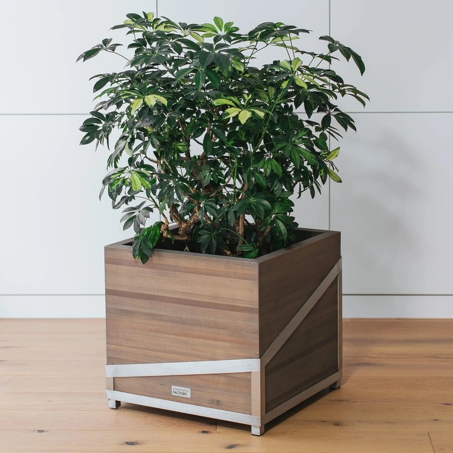 КАШПО MAXPLANTER TOKIO (ТОКИО) АРТ. TK-1120-1